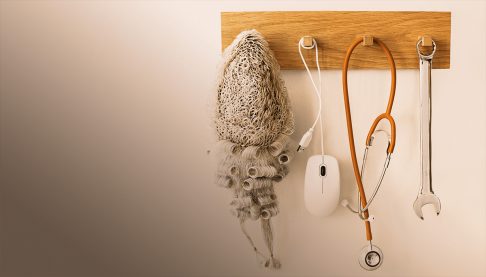 Judges wig, mouse, stethoscope and spanner hanging on a rack